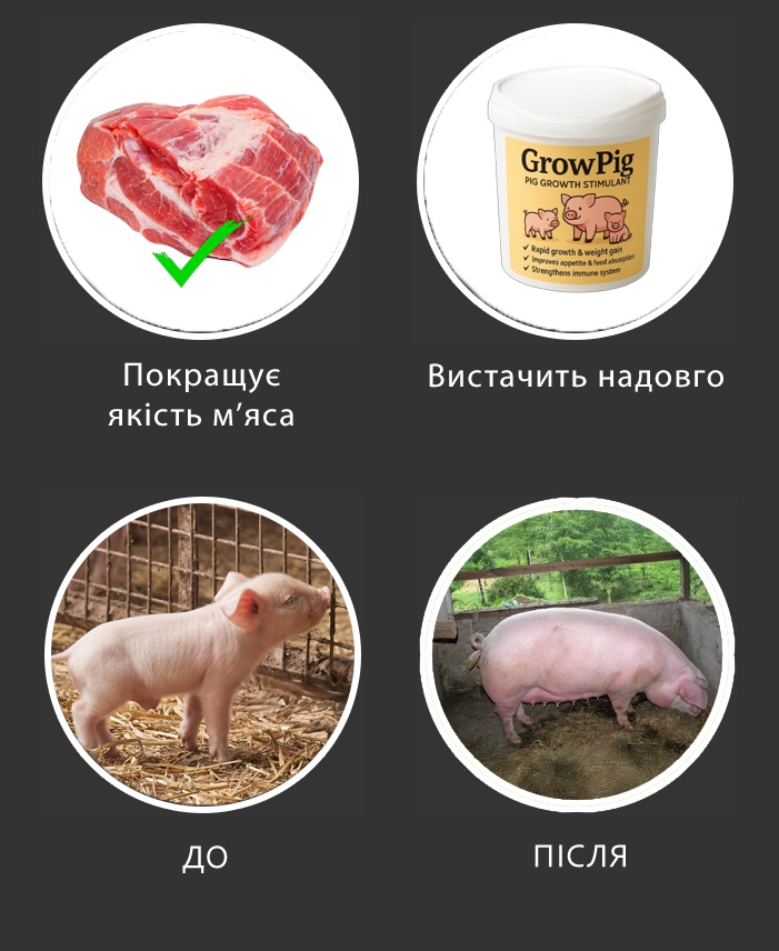 Переваги GrowPig